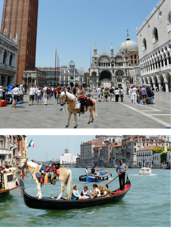 Der Traum mit dem Pferd in Venedig anzukommen