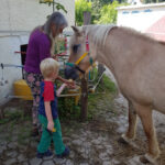 Pferd und Kind erste Begegnung