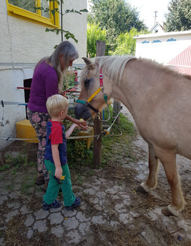 Pferd und Kind erste Begegnung